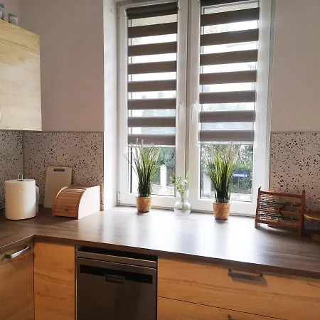 Apartament Srodmiejski Гданськ Екстер'єр фото